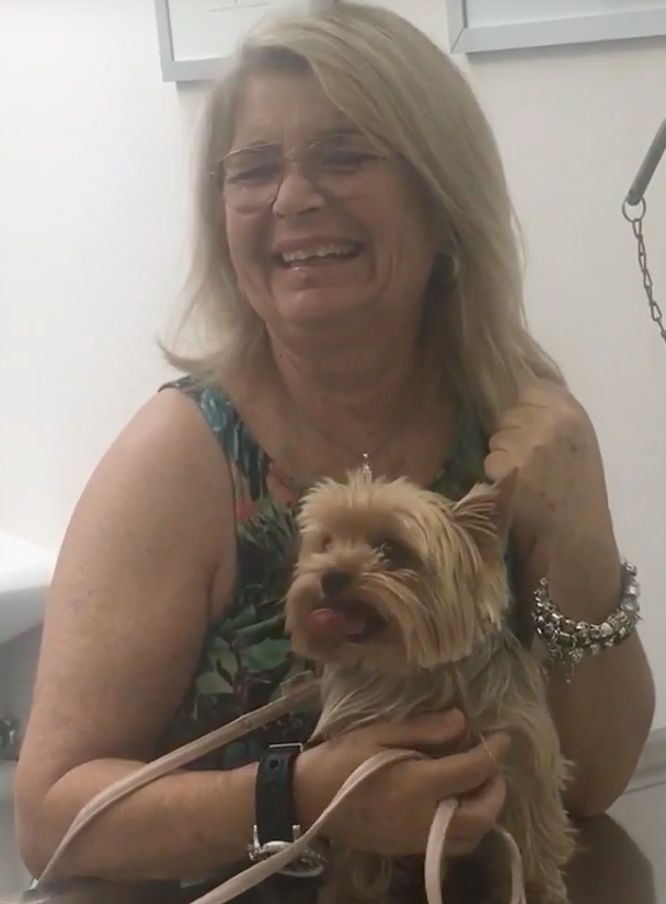 Nyon Animal Hospital, Animal Hospital Nyon, Cabinet Vétérinaire International, Nyon Veterinarian, veterinarian Nyon, Nyon Animal Hospitals, Animal Hospitals Nyon