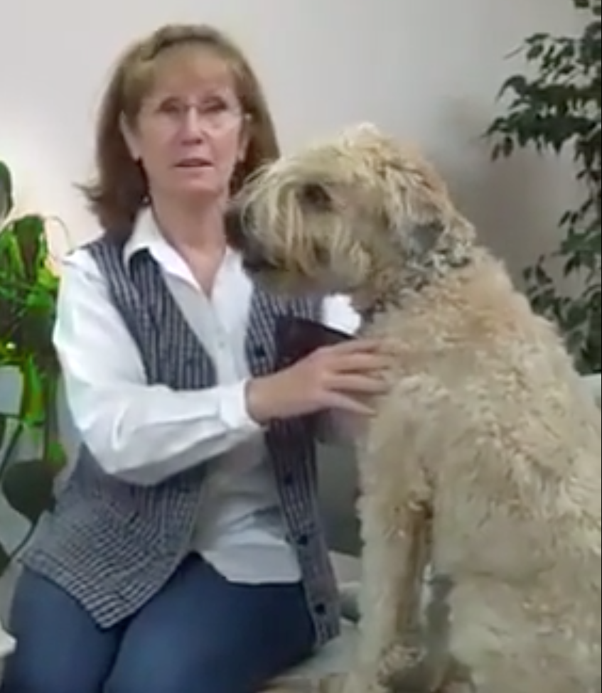 Nyon Animal Hospital, Animal Hospital Nyon, Cabinet Vétérinaire International, Nyon Veterinarian, veterinarian Nyon, Nyon Animal Hospitals, Animal Hospitals Nyon