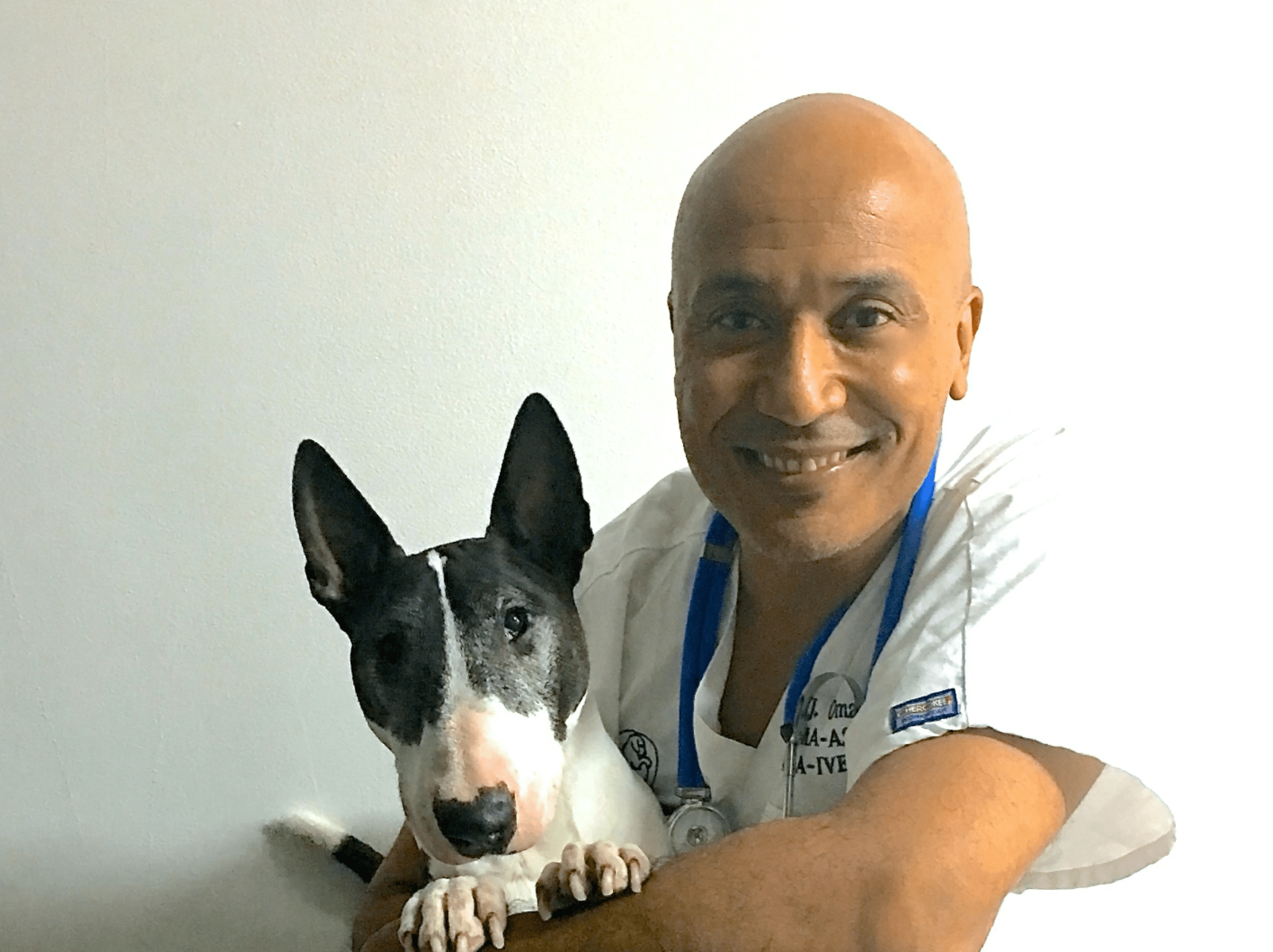 Nyon Animal Hospital, Animal Hospital Nyon, Cabinet Vétérinaire International, Nyon Veterinarian, veterinarian Nyon, Nyon Animal Hospitals, Animal Hospitals Nyon