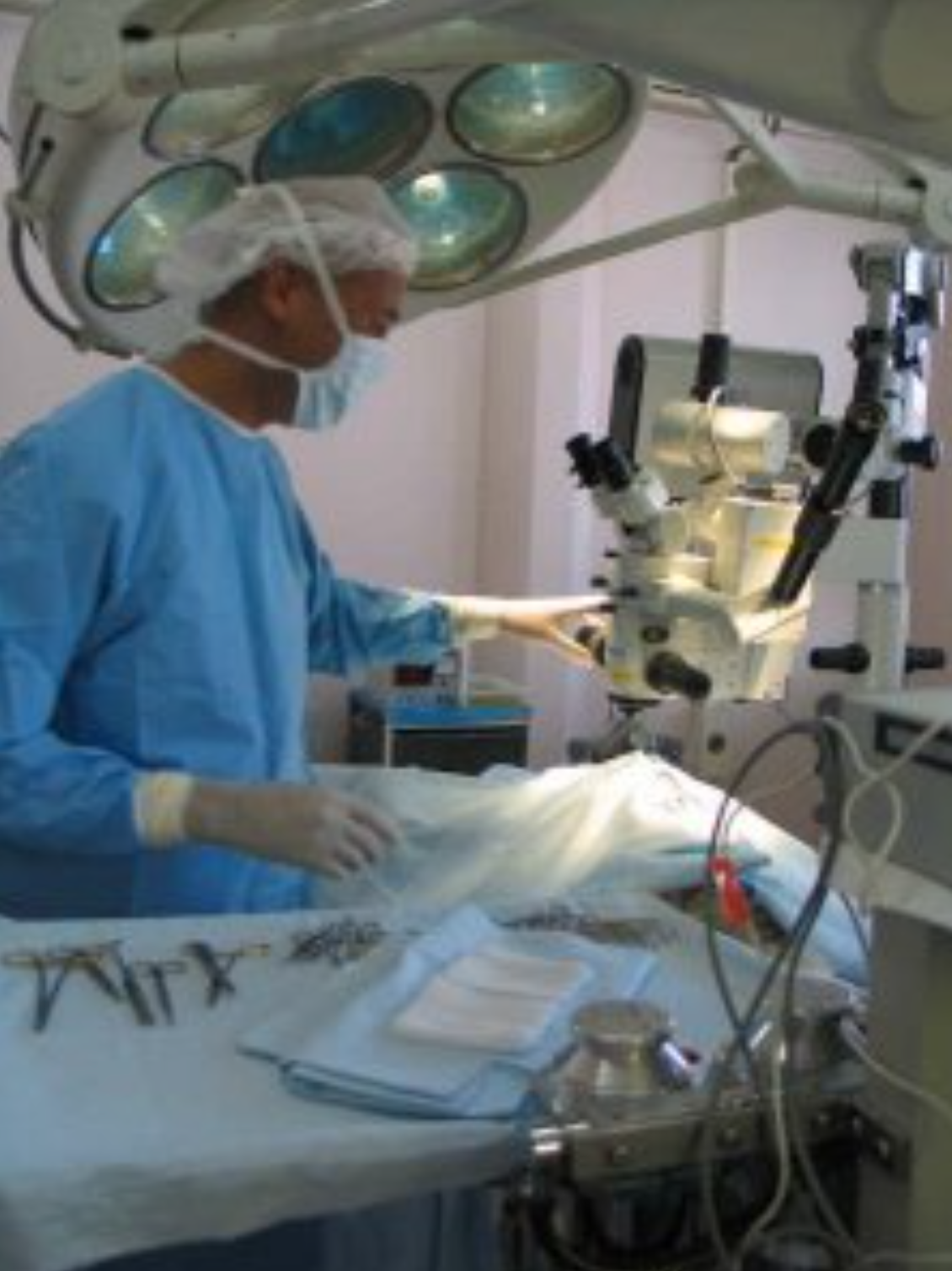 Nyon Animal Hospital, Animal Hospital Nyon, Cabinet Vétérinaire International, Nyon Veterinarian, veterinarian Nyon, Nyon Animal Hospitals, Animal Hospitals Nyon