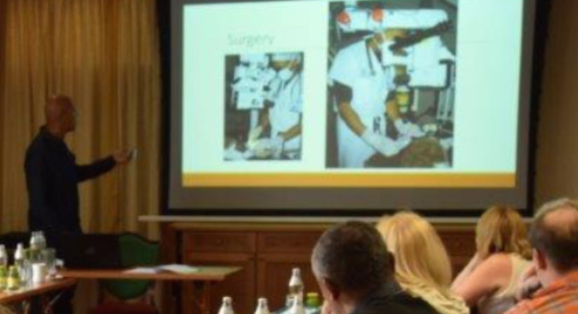 Nyon Animal Hospital, Animal Hospital Nyon, Cabinet Vétérinaire International, Nyon Veterinarian, veterinarian Nyon, Nyon Animal Hospitals, Animal Hospitals Nyon