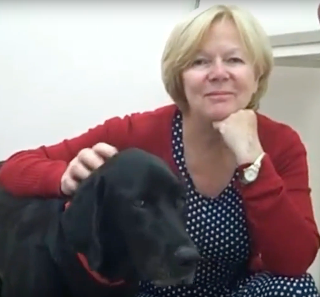 Nyon Animal Hospital, Animal Hospital Nyon, Cabinet Vétérinaire International, Nyon Veterinarian, veterinarian Nyon, Nyon Animal Hospitals, Animal Hospitals Nyon