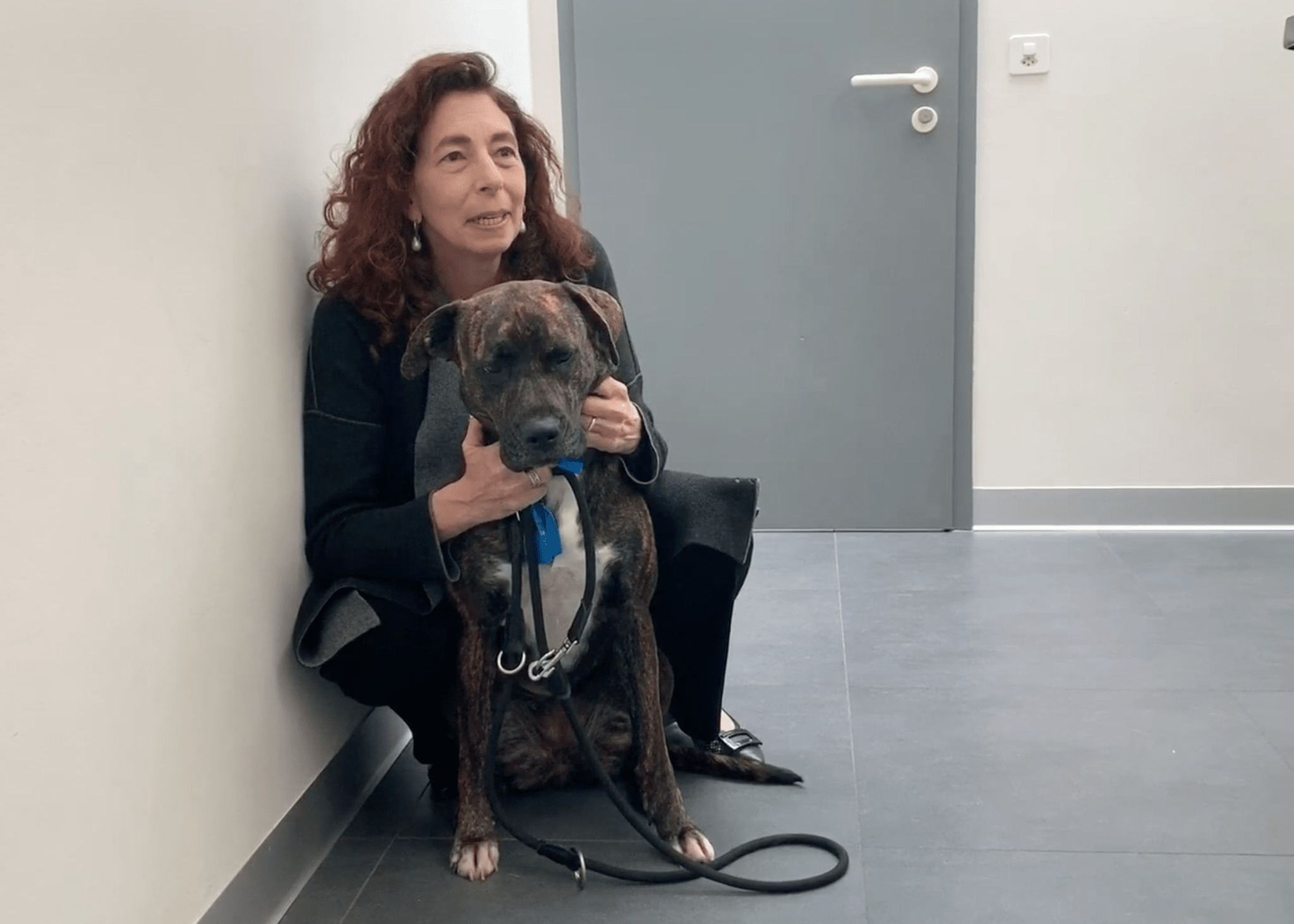 Nyon Animal Hospital, Animal Hospital Nyon, Cabinet Vétérinaire International, Nyon Veterinarian, veterinarian Nyon, Nyon Animal Hospitals, Animal Hospitals Nyon