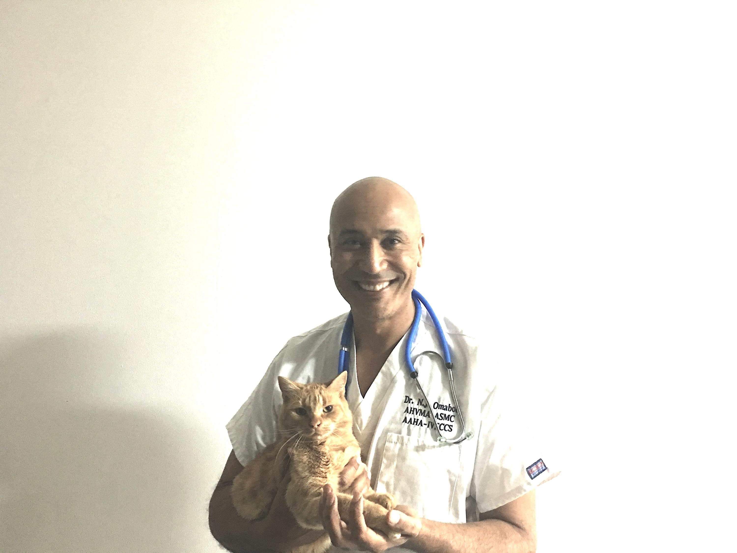 Nyon Animal Hospital, Animal Hospital Nyon, Cabinet Vétérinaire International, Nyon Veterinarian, veterinarian Nyon, Nyon Animal Hospitals, Animal Hospitals Nyon