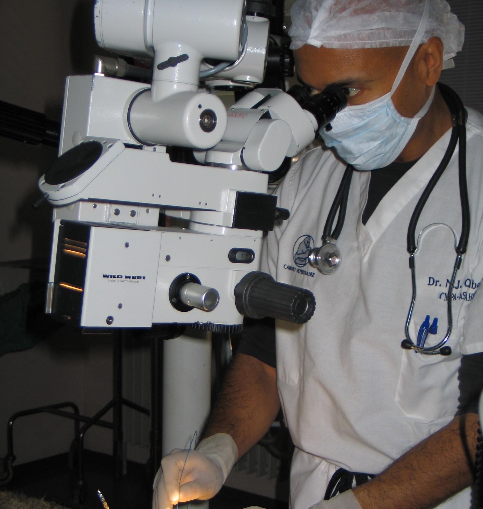 Nyon Animal Hospital, Animal Hospital Nyon, Cabinet Vétérinaire International, Nyon Veterinarian, veterinarian Nyon, Nyon Animal Hospitals, Animal Hospitals Nyon