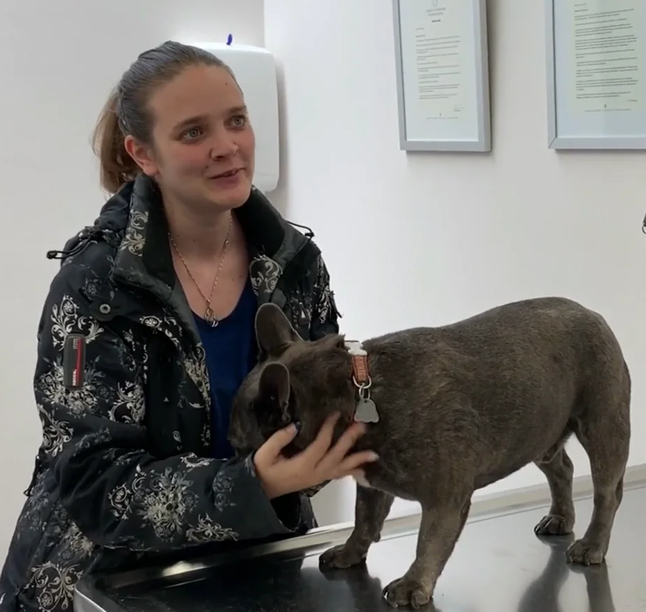 Nyon Animal Hospital, Animal Hospital Nyon, Cabinet Vétérinaire International, Nyon Veterinarian, veterinarian Nyon, Nyon Animal Hospitals, Animal Hospitals Nyon