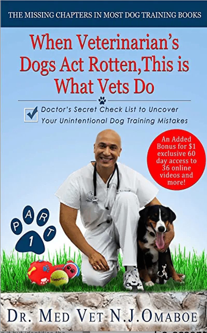 Nyon Animal Hospital, Animal Hospital Nyon, Cabinet Vétérinaire International, Nyon Veterinarian, veterinarian Nyon, Nyon Animal Hospitals, Animal Hospitals Nyon