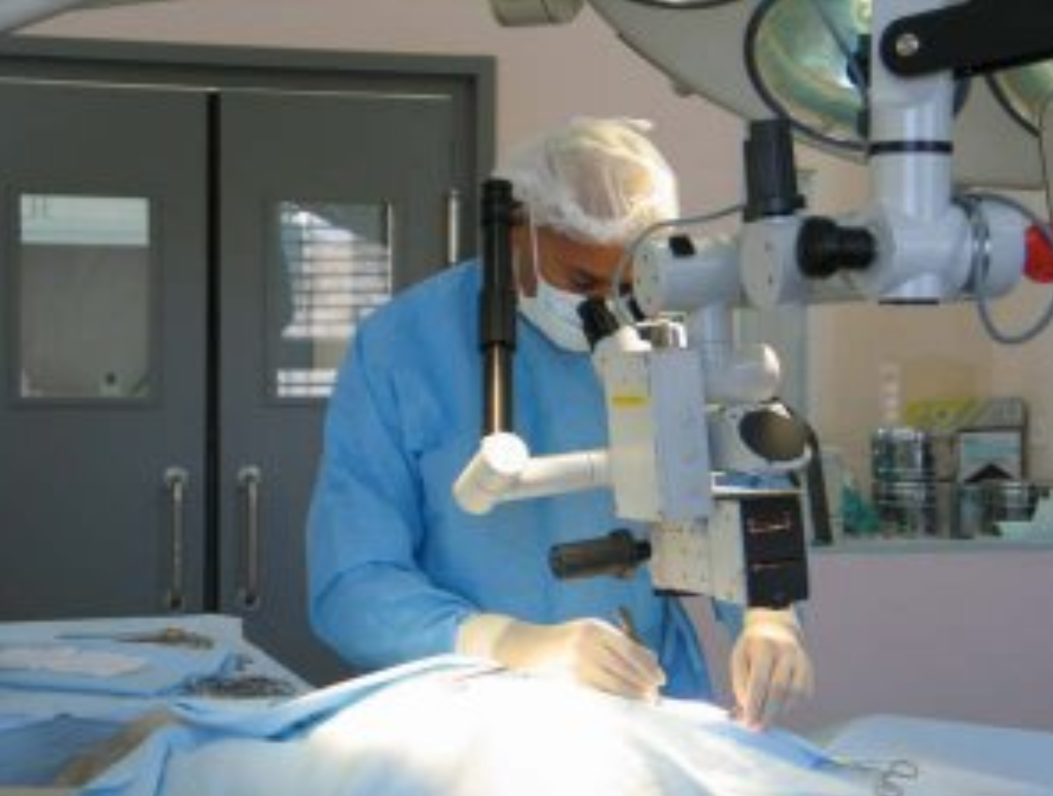 Nyon Animal Hospital, Animal Hospital Nyon, Cabinet Vétérinaire International, Nyon Veterinarian, veterinarian Nyon, Nyon Animal Hospitals, Animal Hospitals Nyon