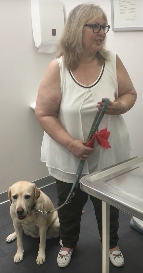 Nyon Animal Hospital, Animal Hospital Nyon, Cabinet Vétérinaire International, Nyon Veterinarian, veterinarian Nyon, Nyon Animal Hospitals, Animal Hospitals Nyon