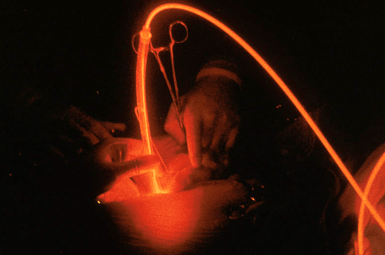 Nyon Animal Hospital, Animal Hospital Nyon, Cabinet Vétérinaire International, Nyon Veterinarian, veterinarian Nyon, Nyon Animal Hospitals, Animal Hospitals Nyon