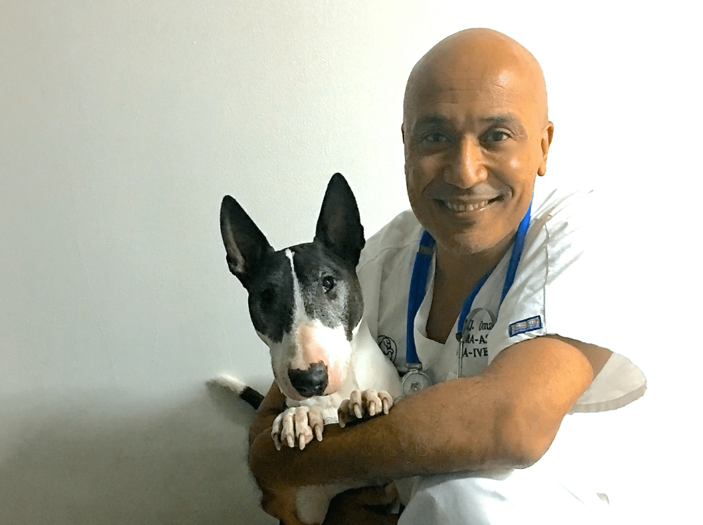 Nyon Animal Hospital, Animal Hospital Nyon, Cabinet Vétérinaire International, Nyon Veterinarian, veterinarian Nyon, Nyon Animal Hospitals, Animal Hospitals Nyon