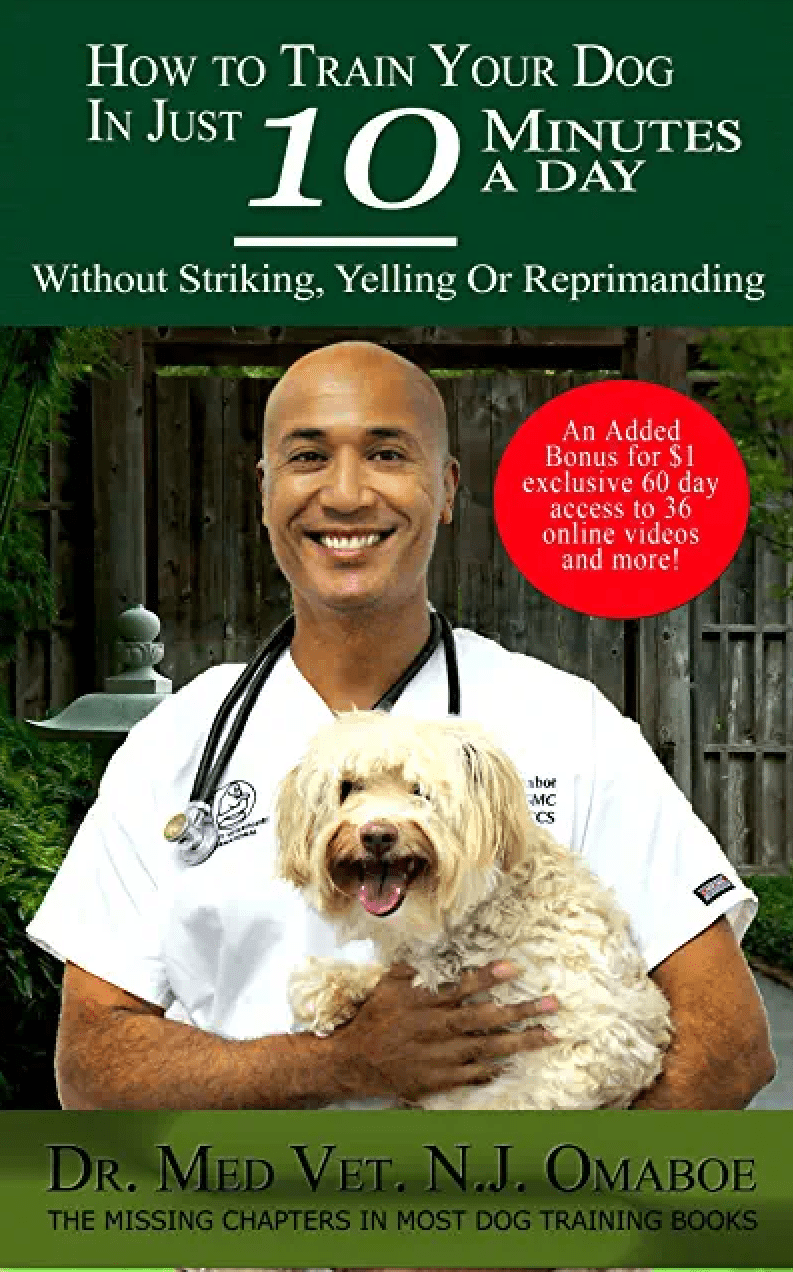 Nyon Animal Hospital, Animal Hospital Nyon, Cabinet Vétérinaire International, Nyon Veterinarian, veterinarian Nyon, Nyon Animal Hospitals, Animal Hospitals Nyon