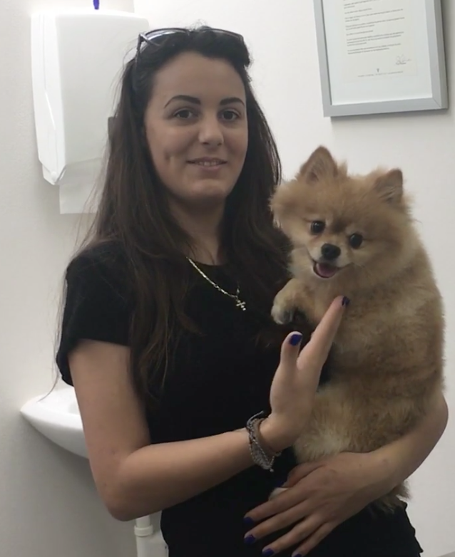 Nyon Animal Hospital, Animal Hospital Nyon, Cabinet Vétérinaire International, Nyon Veterinarian, veterinarian Nyon, Nyon Animal Hospitals, Animal Hospitals Nyon