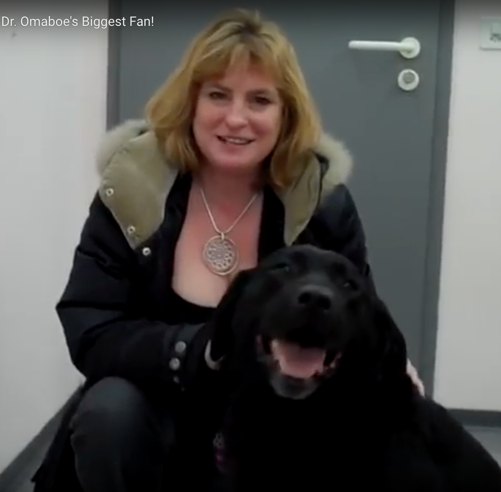 Nyon Animal Hospital, Animal Hospital Nyon, Cabinet Vétérinaire International, Nyon Veterinarian, veterinarian Nyon, Nyon Animal Hospitals, Animal Hospitals Nyon