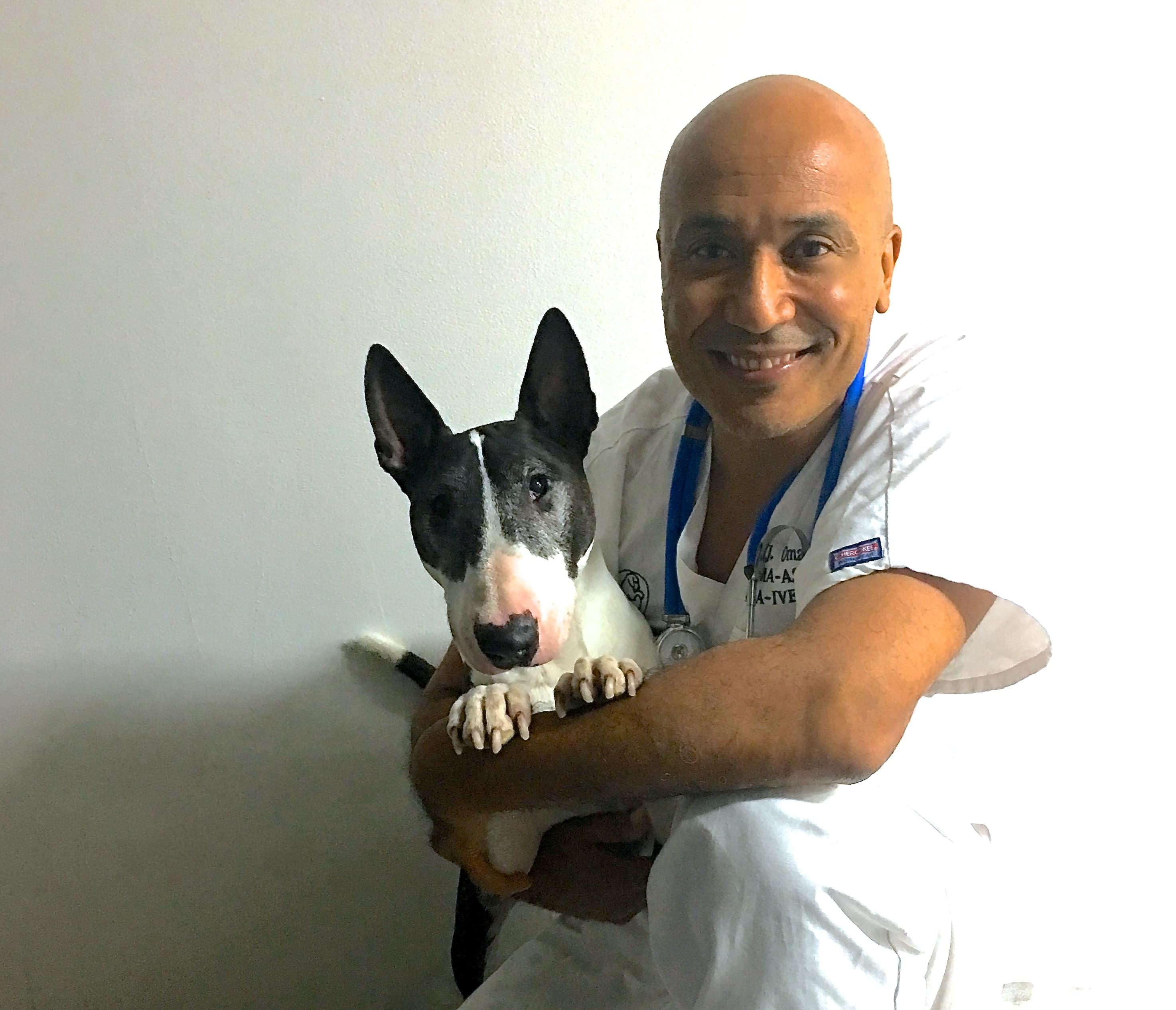 Nyon Animal Hospital, Animal Hospital Nyon, Cabinet Vétérinaire International, Nyon Veterinarian, veterinarian Nyon, Nyon Animal Hospitals, Animal Hospitals Nyon