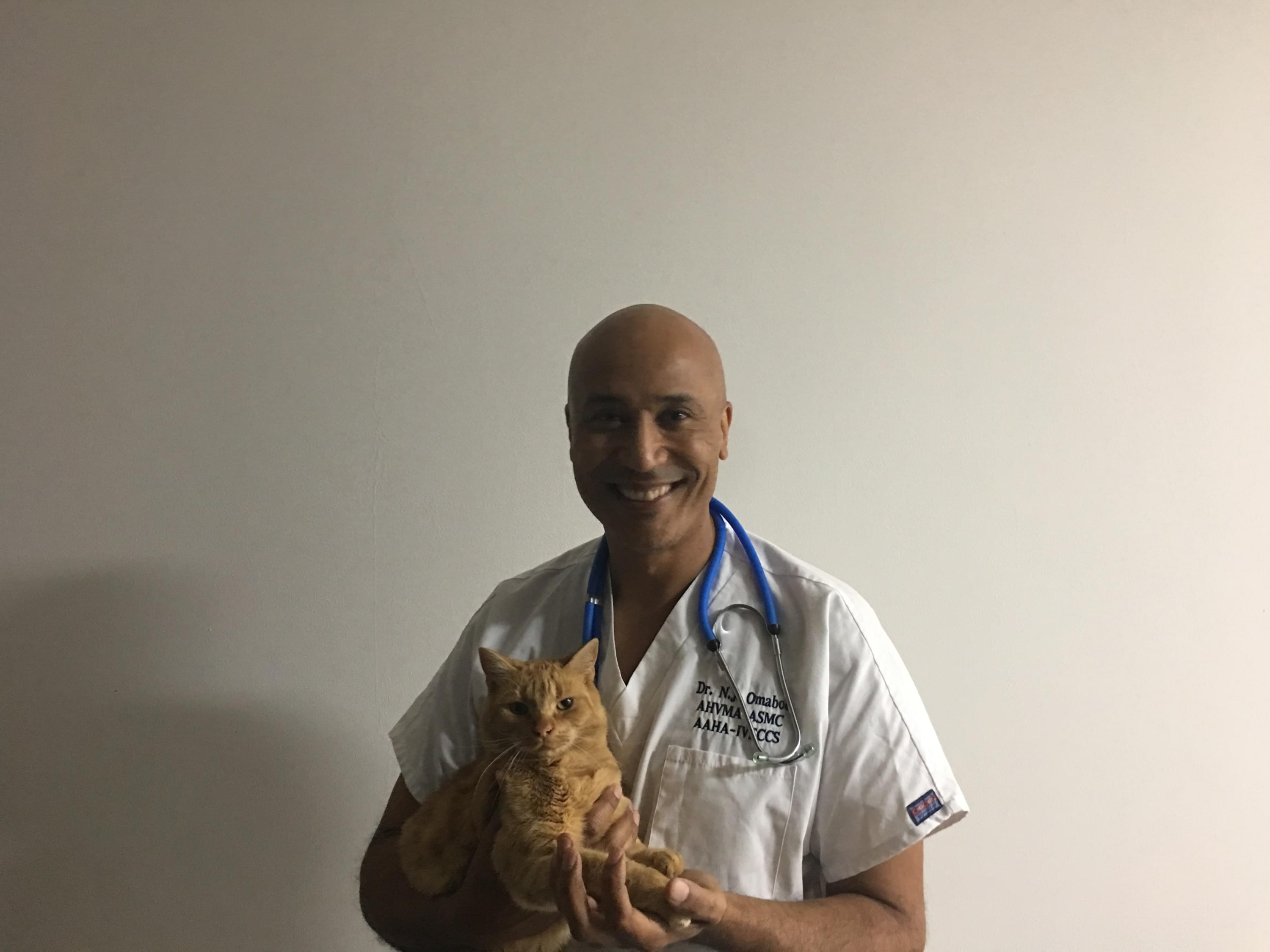 Nyon Animal Hospital, Animal Hospital Nyon, Cabinet Vétérinaire International, Nyon Veterinarian, veterinarian Nyon, Nyon Animal Hospitals, Animal Hospitals Nyon